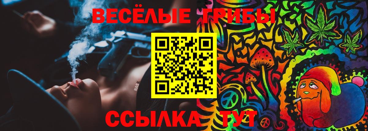 Псилоцибиновые грибы Cubensis  Псилоцибиновые грибы прущие грибы  Вход с VPN  Северобайкальск 