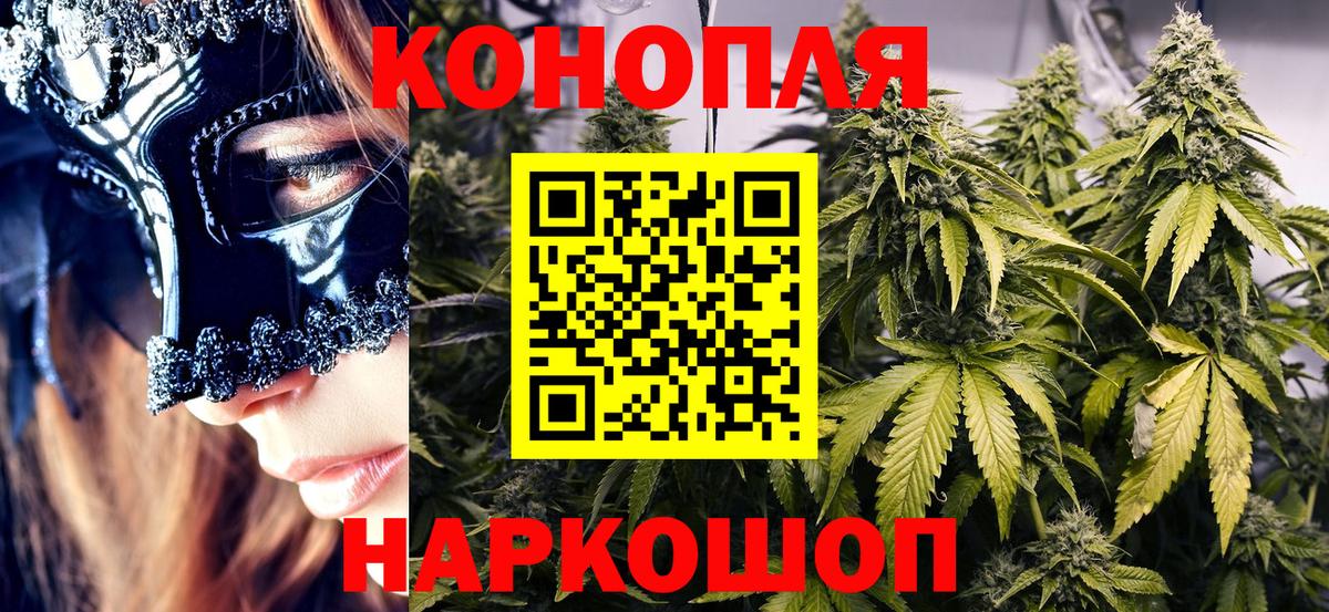 Бошки марихуана конопля Северобайкальск